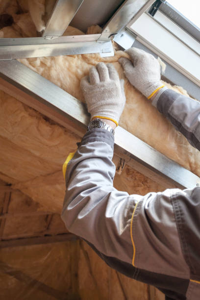 Best Types of Insulation in Maroa, IL