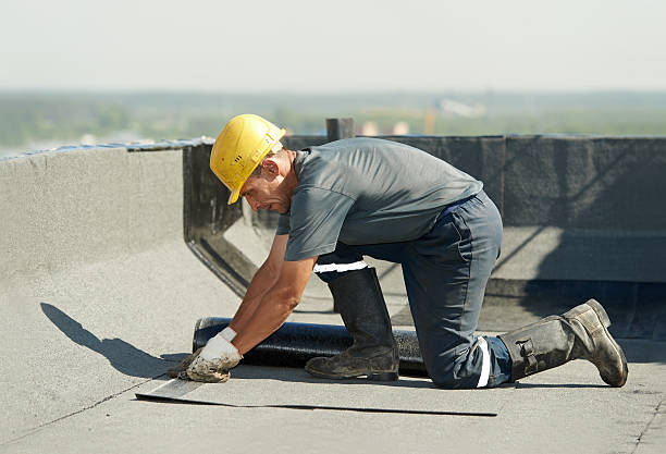 Best Commercial Insulation in Maroa, IL