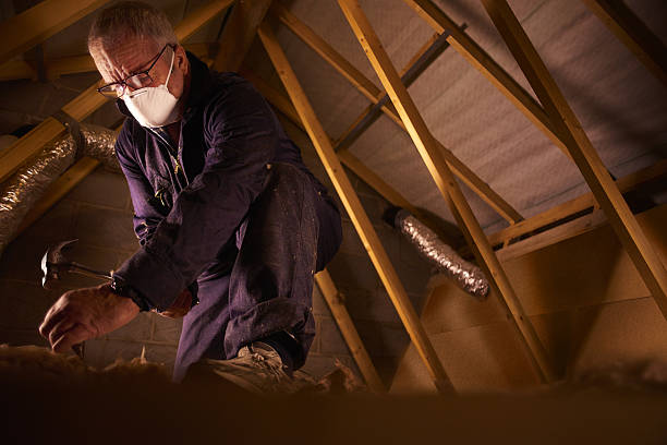 Best Insulation for Specific Applications in Maroa, IL